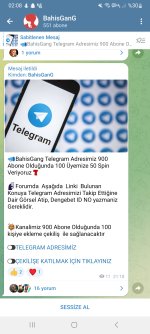 Screenshot_20230124_020839_Telegram.jpg