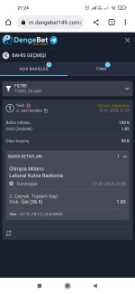 Screenshot_2023-01-31-21-24-36-764_com.android.chrome.jpg