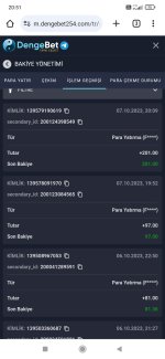 Screenshot_2023-10-07-20-51-55-130_com.android.chrome.jpg