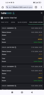 Screenshot_2024-01-19-05-23-49-706_com.android.chrome.jpg