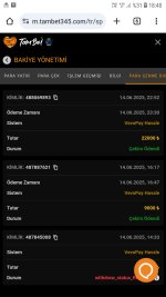 Screenshot_20250615-184038_Chrome.jpg